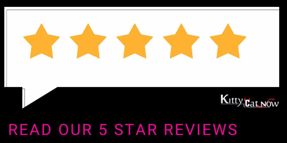 Kitty Cat Now Scottsdale Reviews