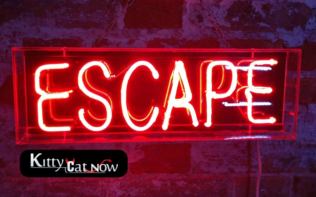 Escape the Ordinary: How to Throw a Bachelor Party He’ll Never Forget in Scottsdale