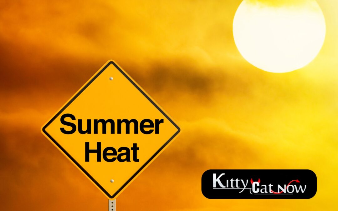 How to Heat Up Your Summer Parties with Exotic Dancers in Scottsdale