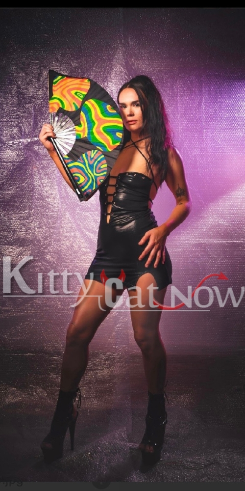 Kitty Cat Now-Ruby. Phoenix :Scottsdale