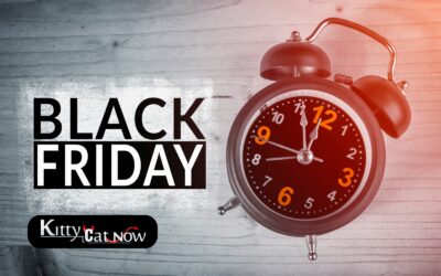 Black Friday Party Ideas: Celebrate Big with Exotic Dancers in Scottsdale