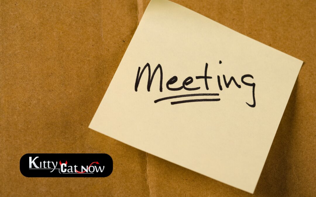 How Private Strippers in Scottsdale Elevate Annual Club Meetings