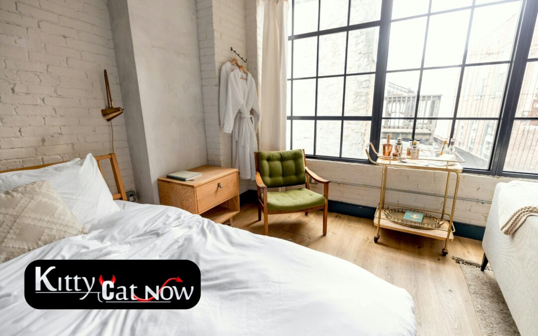 Planning a Private Airbnb Party with Strippers in Scottsdale