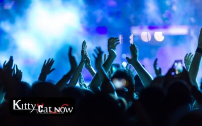 Why Booking Strippers from an Agency Is Safer Than Independents in Scottsdale