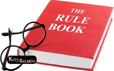 Bachelor Party House Rules in Scottsdale Before the Strippers Arrive