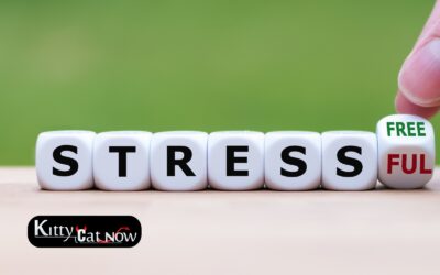 Hosting Private Party Entertainment at Home in Scottsdale: A Stress-Free Guide