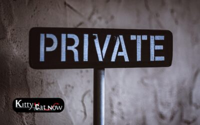 Why Private Party Entertainment Beats the Club Scene in Scottsdale