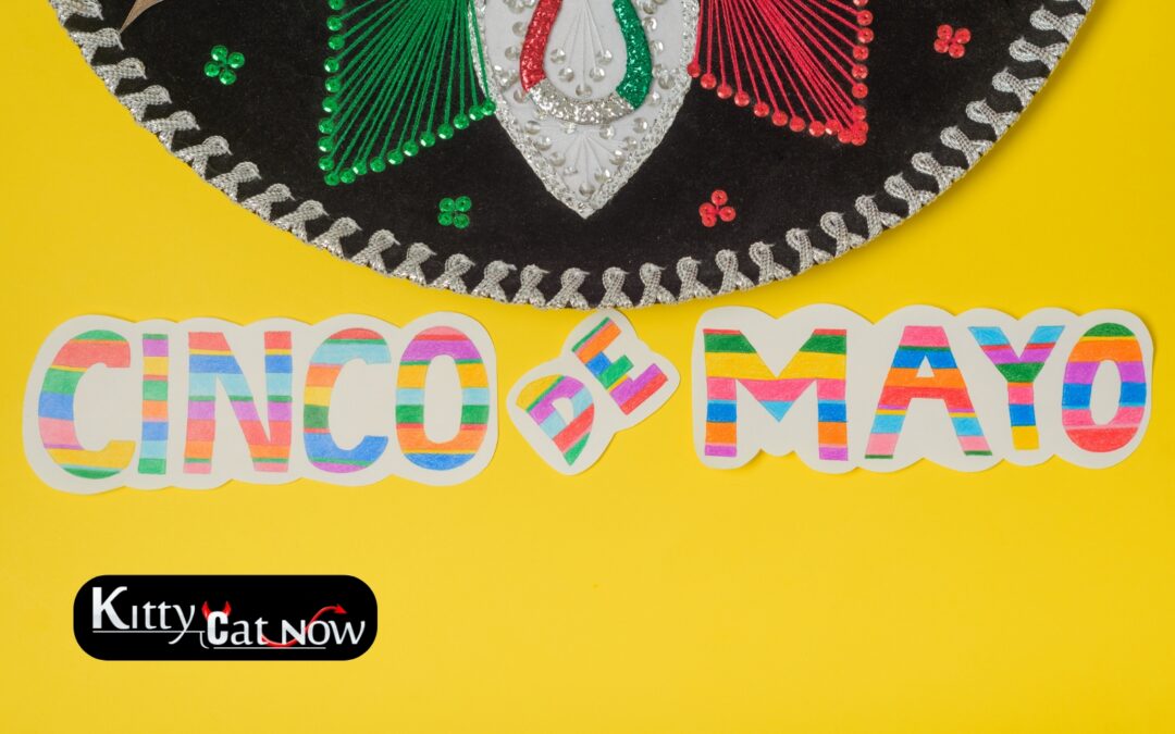 Cinco de Mayo Party Ideas in Scottsdale: Tacos, Tequila & Private Strippers