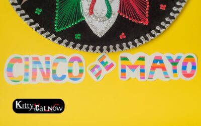 Cinco de Mayo Party Ideas in Scottsdale: Tacos, Tequila & Private Strippers