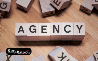 How to Choose a Legit Stripper Agency in Scottsdale