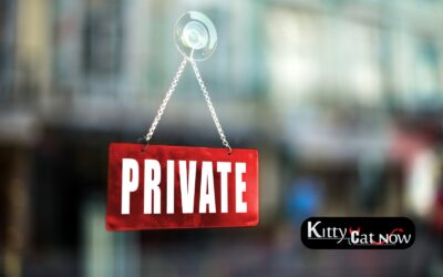 Strippers in Scottsdale: Why Private Entertainment is the New Standard
