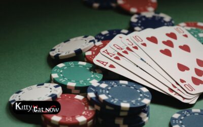 Poker Night Upgrade: Private Entertainment for Your Scottsdale Home Game