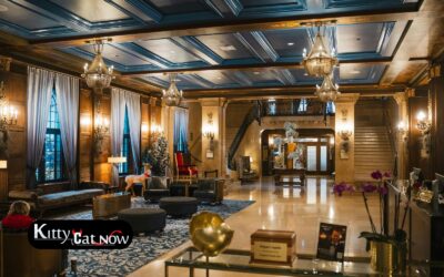 Hotel Suite vs. House Rental: Where to Host Your Scottsdale Bachelor Party